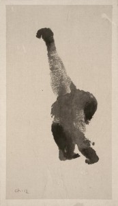 https://www.oliviercharpentier.com:443/files/gimgs/th-17_BDEF  Orang-outan (Nénette — elle bouge donc).jpg